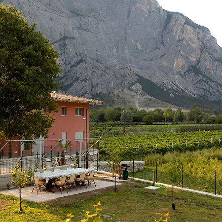 Holiday Apartments Giulia - Green Pietramurata Zewnętrze zdjęcie
